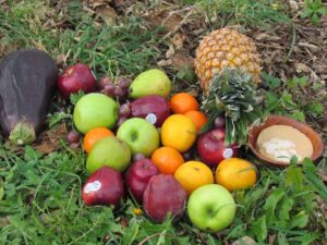 A pile of fruit sitting on top of the ground.