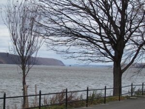 A view of the water from across the street.