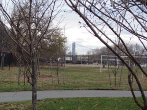 A park with trees and grass in the foreground.