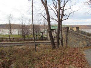A tree is in the foreground and a fence near some trees.
