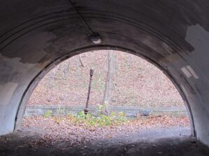 A view of the inside of an empty tunnel.