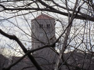 A clock tower in the distance behind bare trees.