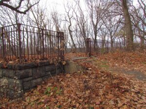 A fence that is in the middle of some leaves.