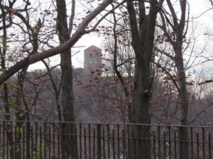 A view of the tower from behind trees.