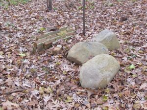 A group of rocks and sticks in the leaves.