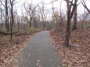 A trail in the woods with leaves on it.