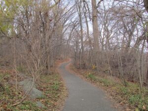 A trail in the woods with trees and leaves.