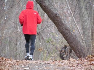 A person in red jacket near tree and cat.