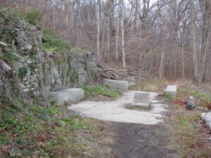 A trail in the woods with rocks and trees.