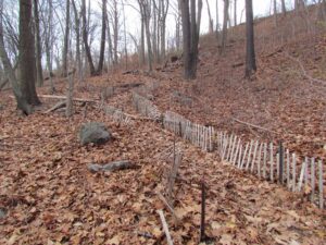 A fence is shown in the middle of a forest.