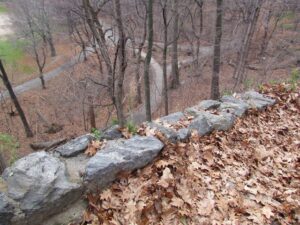 A stone wall with leaves on it and trees in the background.
