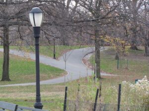 A lamp post in the middle of a park