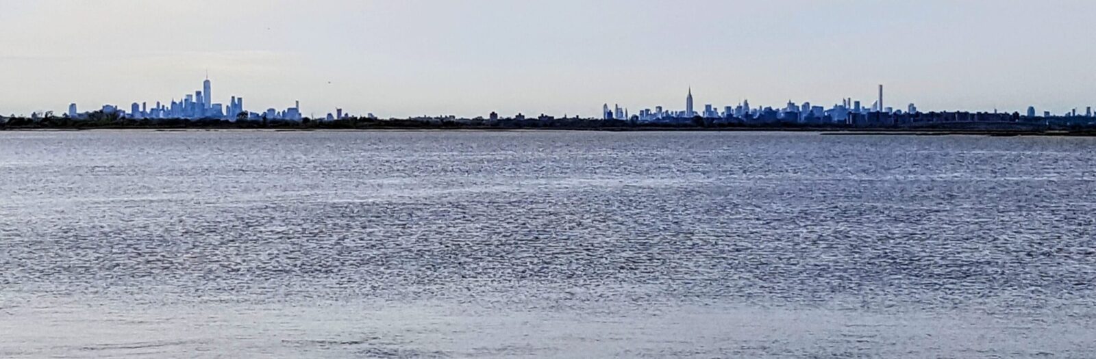 A view of the city skyline from across the water.